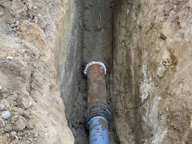 Best Sewage cleanup and water damage restoration  in Punta Gorda, FL