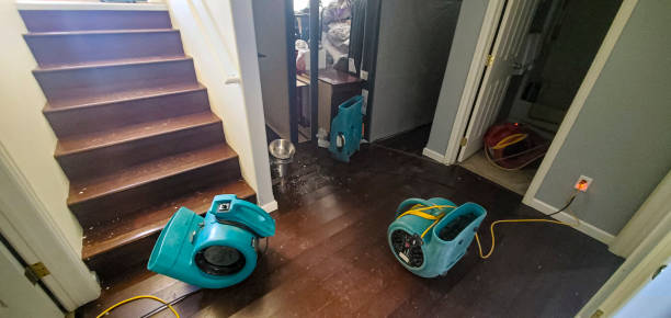 Best Flood damage cleanup  in Punta Gorda, FL