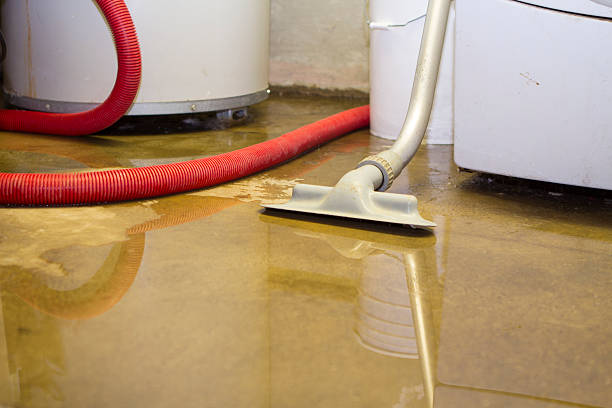 Fire Damage Restoration in Punta Gorda, FL