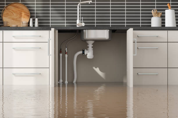 Best Fire Damage Restoration  in Punta Gorda, FL