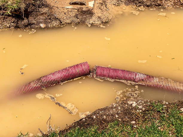 Best Water damage restoration mold remediation  in Punta Gorda, FL